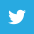 Icon twitter